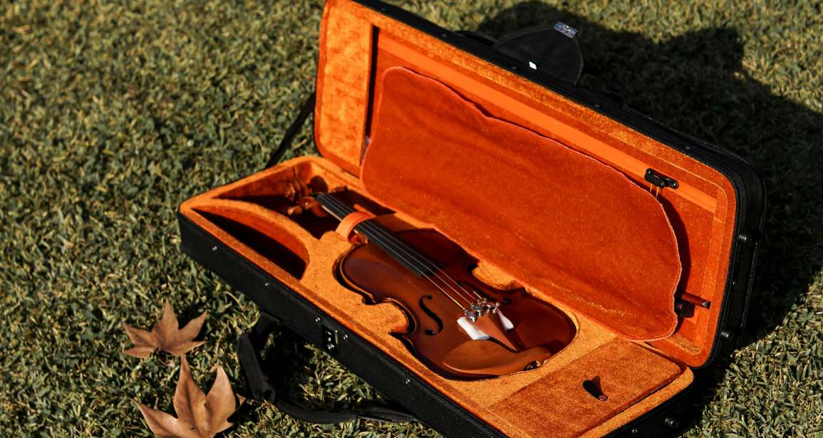 The Importance of a Violin Case: Protecting Your Instrument for Longevity